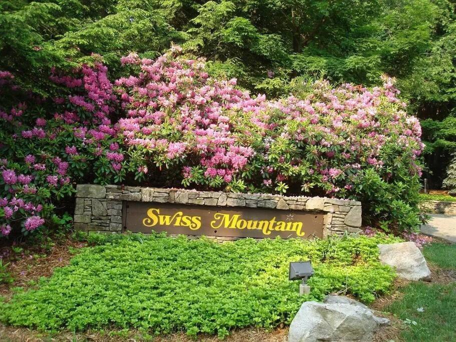Luxury Seven Springs Condo- 3 Bed & Loft, 3 Bath Champion Bagian luar foto